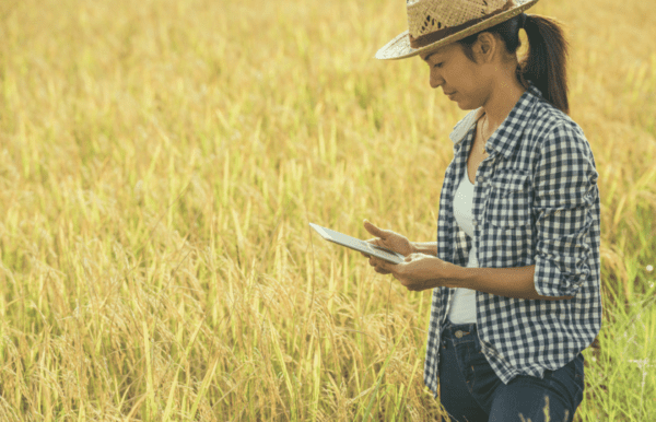 melhorar a gestão na propriedade rural
