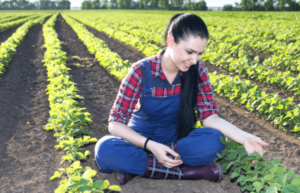 mulher no Agronegócio