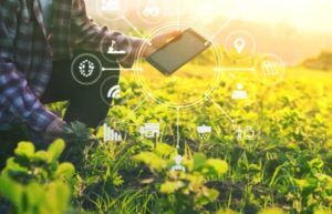 investir em tecnologia na fazenda