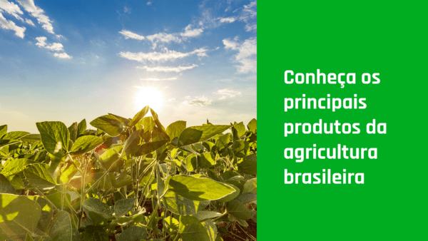 principais produtos da agricultura brasileira