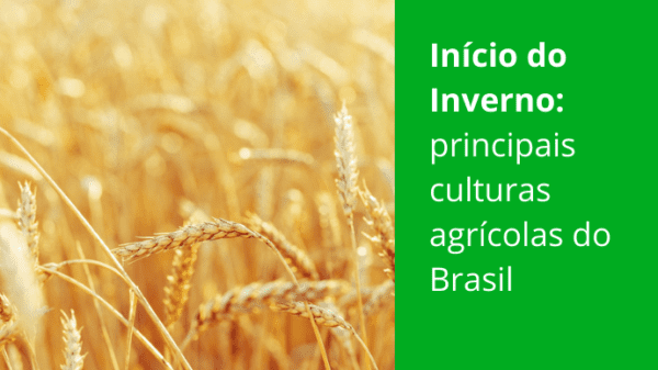 principais culturas agrícolas