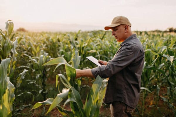 agricultura de precisao