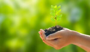 sustentabilidade rural