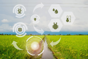 Biotecnologia na Agricultura
