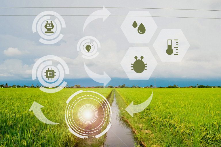 Biotecnologia na Agricultura