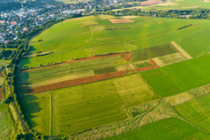 hectare