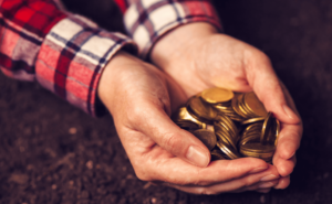 Finanças no agronegócio