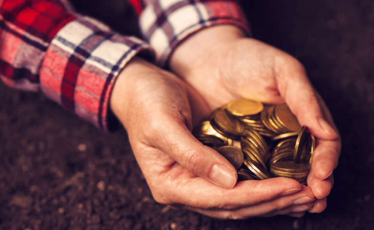 Finanças no agronegócio