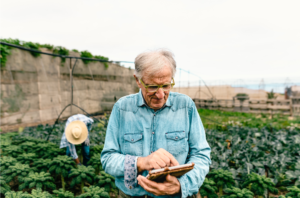 https://elements.envato.com/pt-br/senior-agronomist-man-working-with-tablet-inside-a-SEAGVM5