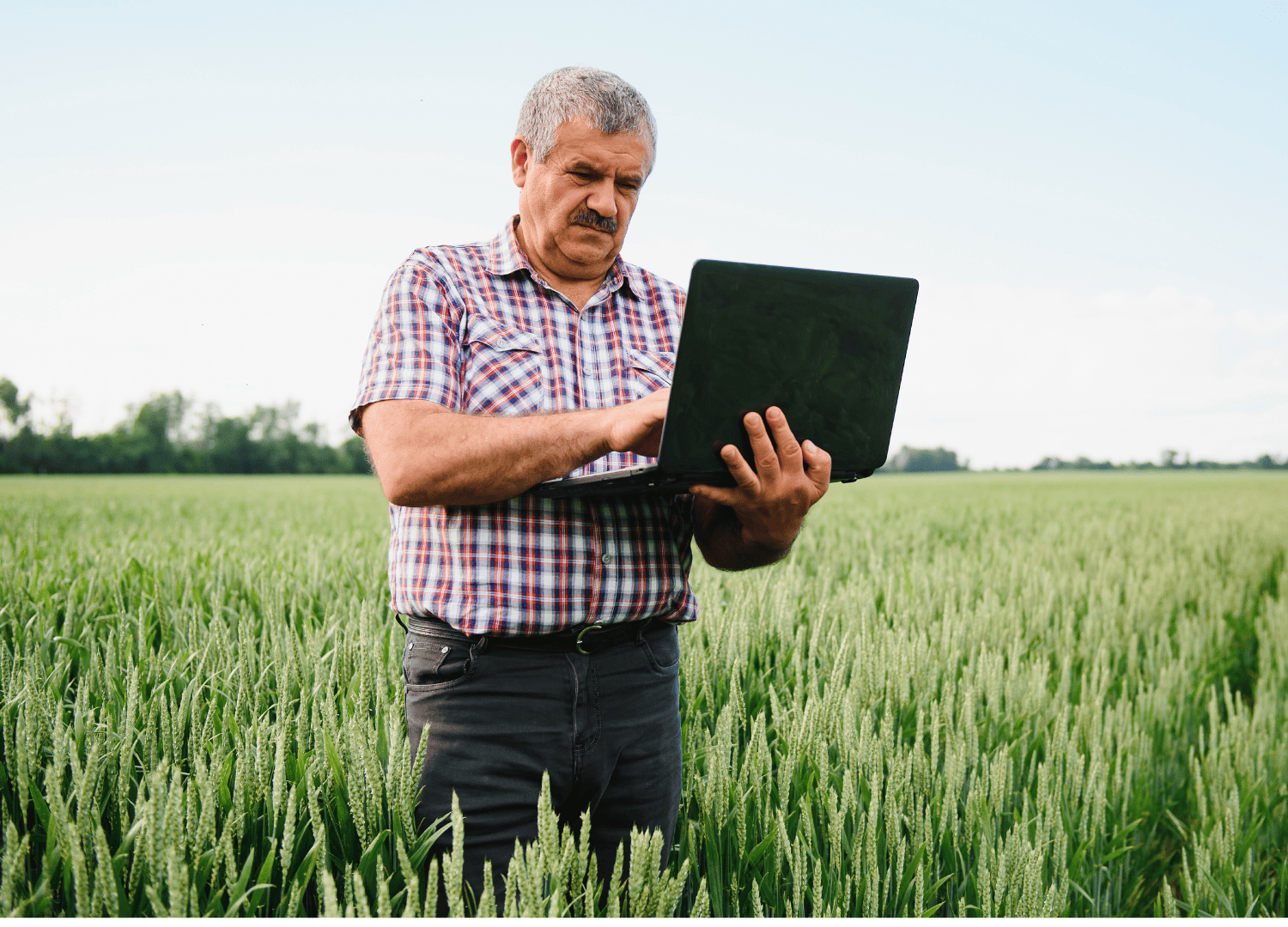 plano de contas Entenda a importância Plano de Contas Rural e como elaborá-lo