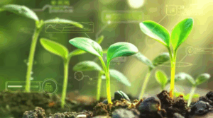 Agricultura digital