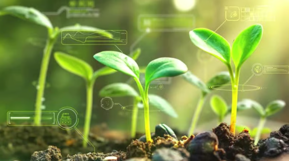 Agricultura digital