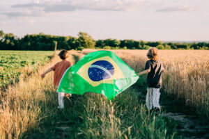 agricultura brasileira