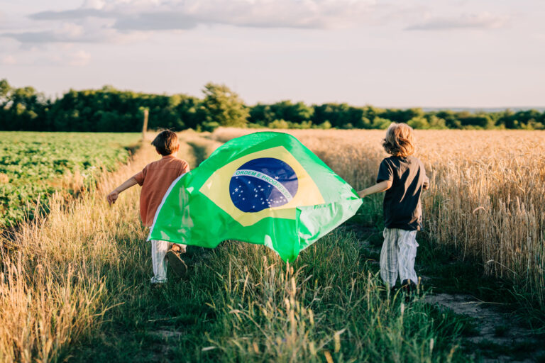 agricultura brasileira