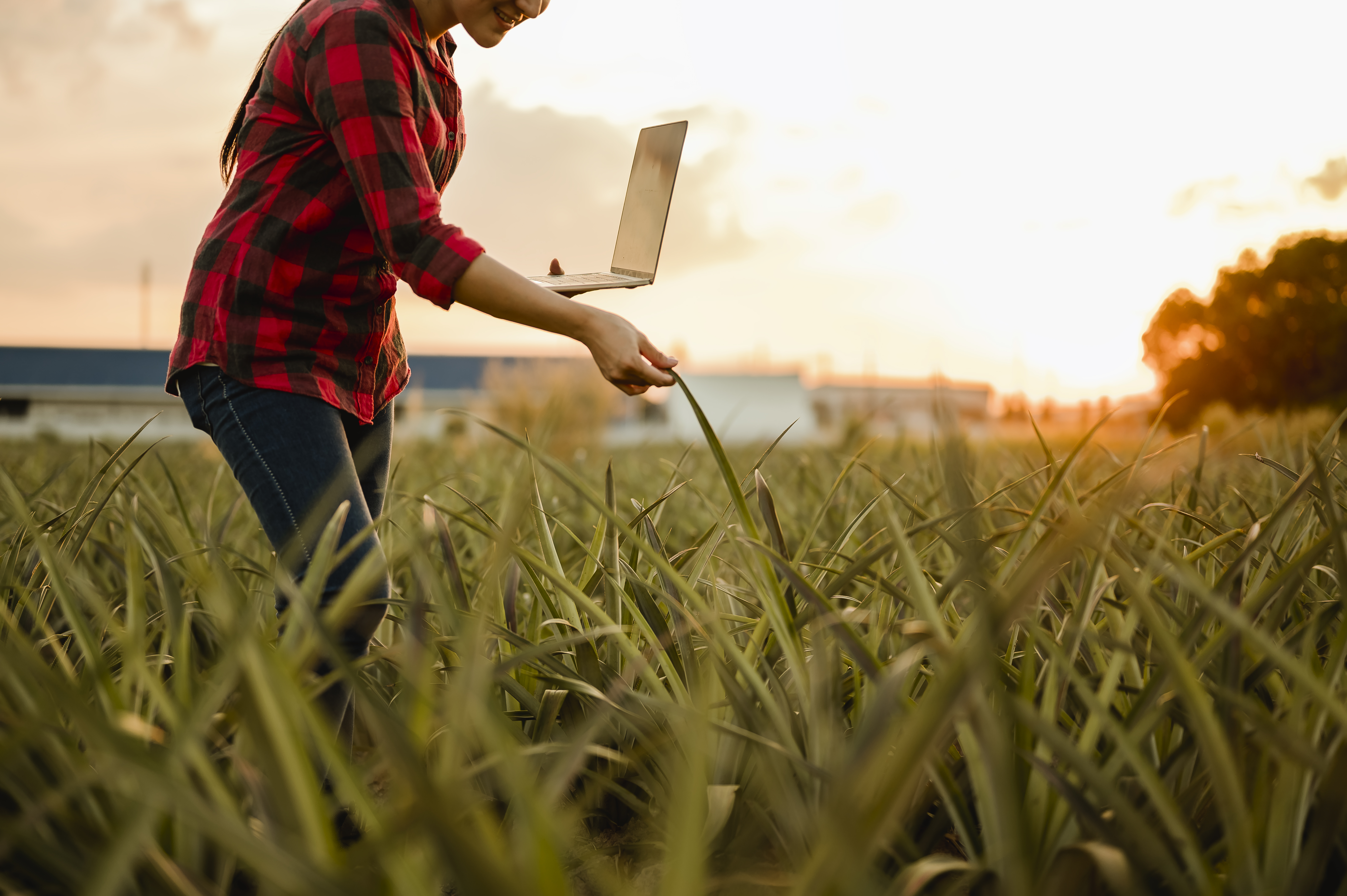 tecnologia-na-agricultura